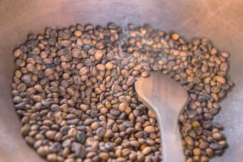 Le café le plus cher du monde : Kopi Luwak